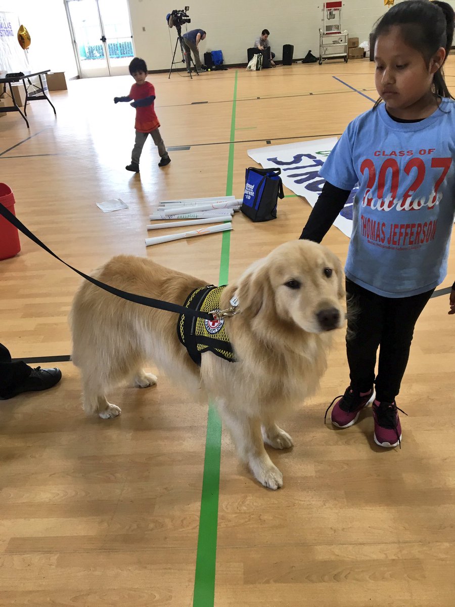 DAnglinFox4's tweet image. Crisis response dogs Swagger and Ozzie are here!They're great for calming down kids or anyone. #GasLineRepairs #PlayDay #NWDallas