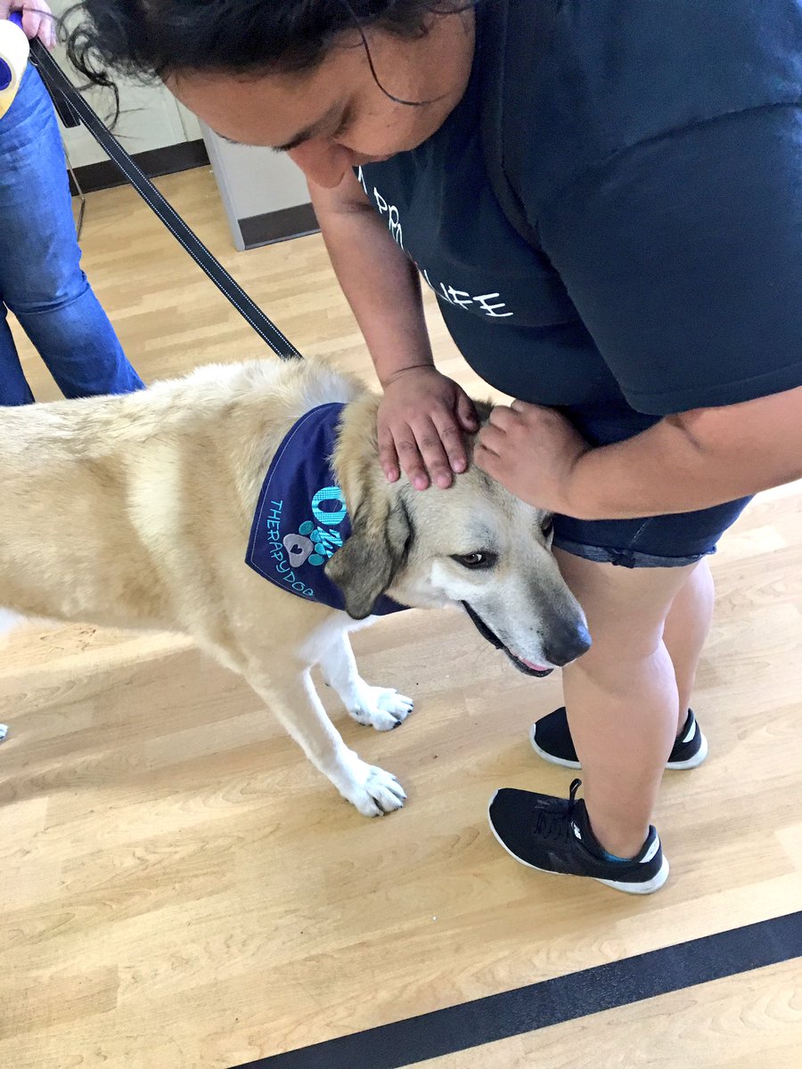 DAnglinFox4's tweet image. Crisis response dogs Swagger and Ozzie are here!They're great for calming down kids or anyone. #GasLineRepairs #PlayDay #NWDallas