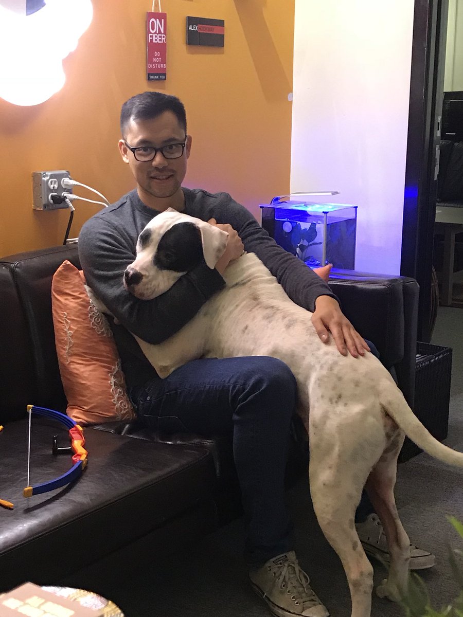 Rogue Planet tweet media