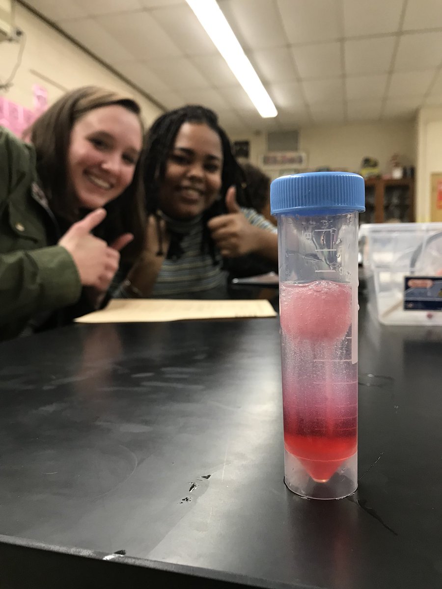 merrill307's tweet photo. We extracted the DNA of strawberries &amp; everyone got a souvenir to show their friends this weekend! 🤓 🍓#WeAreFirebirds https://t.co/GBQGrYXibI