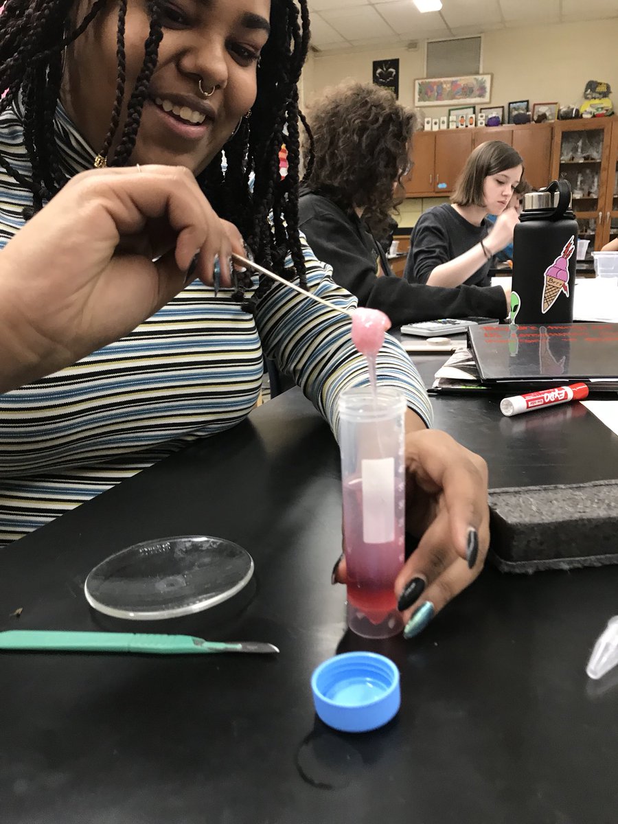 merrill307's tweet photo. We extracted the DNA of strawberries &amp; everyone got a souvenir to show their friends this weekend! 🤓 🍓#WeAreFirebirds https://t.co/GBQGrYXibI