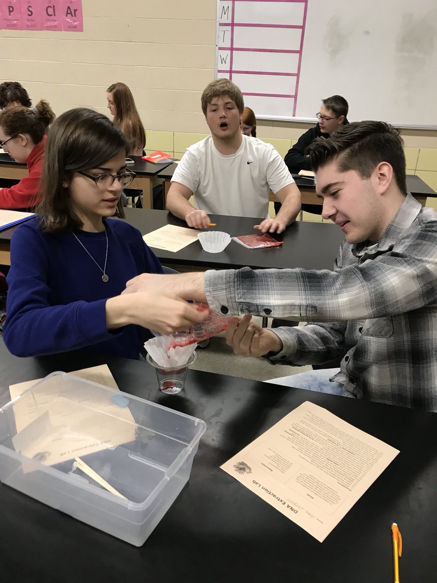 merrill307's tweet photo. We extracted the DNA of strawberries &amp; everyone got a souvenir to show their friends this weekend! 🤓 🍓#WeAreFirebirds https://t.co/GBQGrYXibI