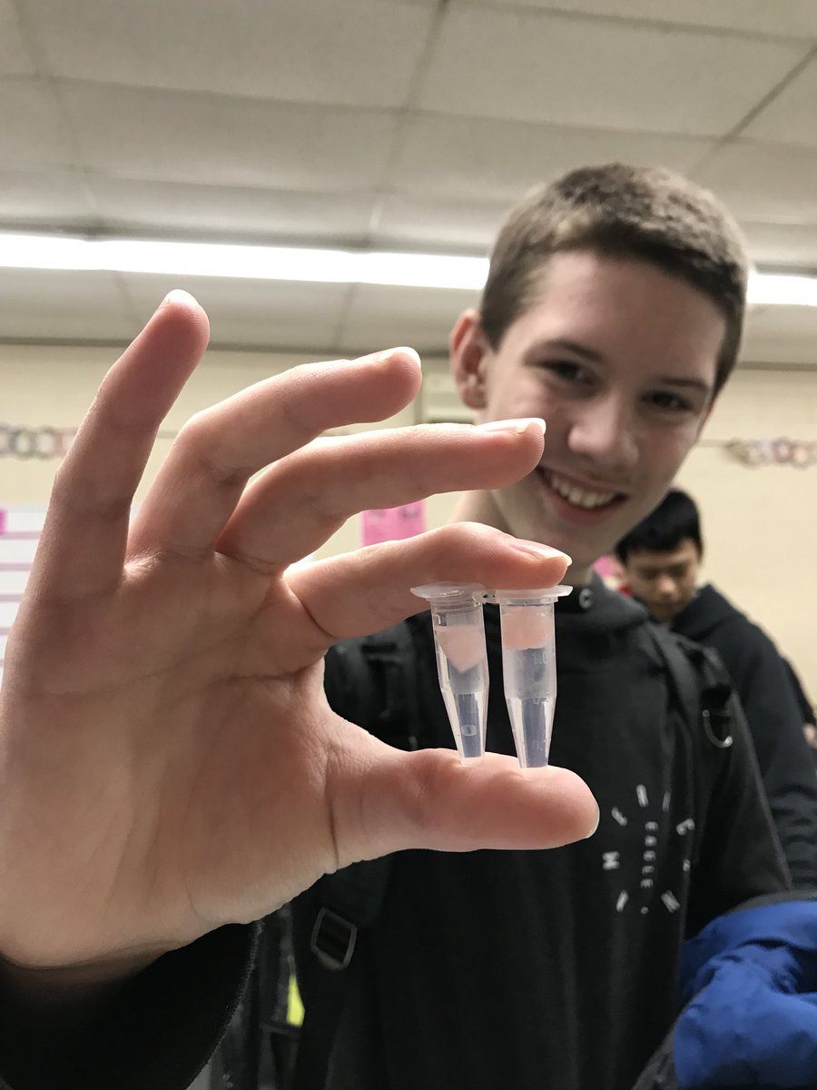 merrill307's tweet photo. We extracted the DNA of strawberries &amp; everyone got a souvenir to show their friends this weekend! 🤓 🍓#WeAreFirebirds https://t.co/GBQGrYXibI