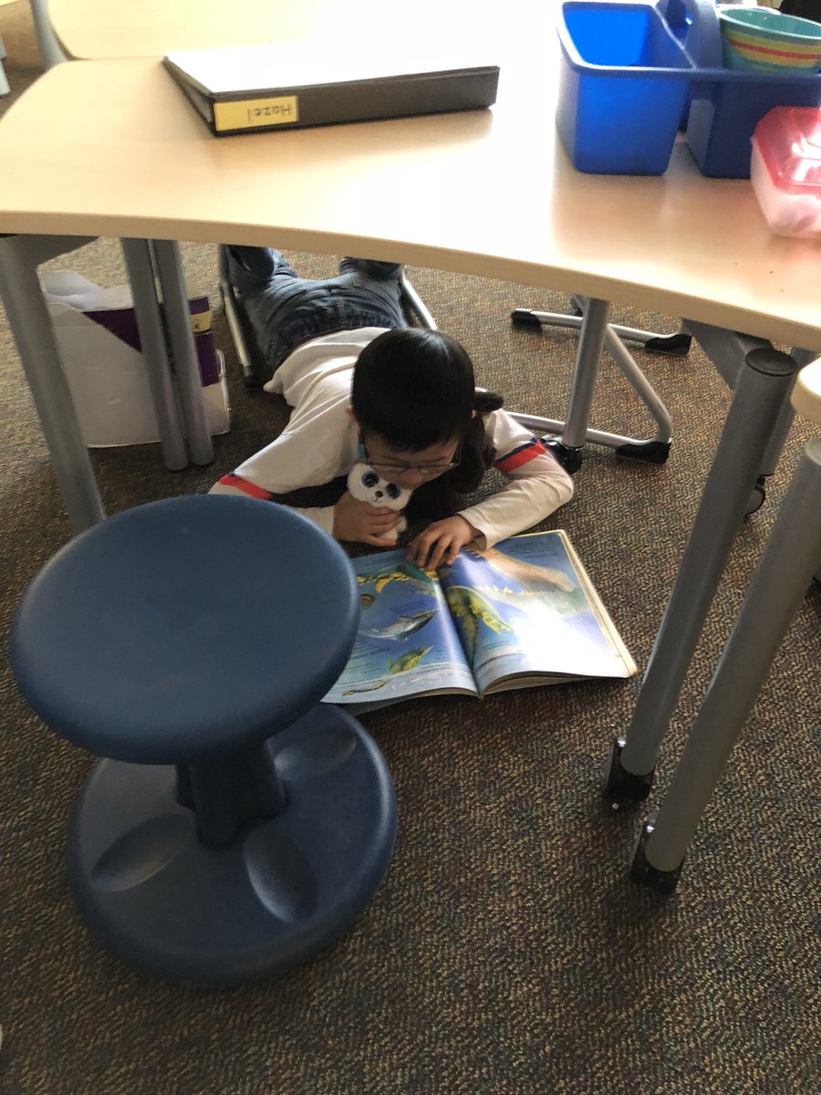MsFeathersFirst's tweet photo. We had a very cozy Snuggle Up and Read Day! We loved our “cave reading” and “stinky reading” (no shoes) in front of the fireplace. Proud to have students who LOVE to read!  @a2Thurston @rosemarie_7090 https://t.co/Ndf44BqLuT