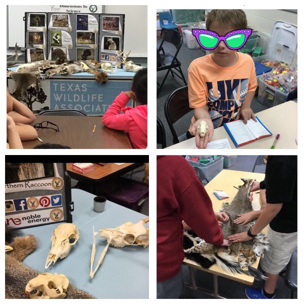 ꧁༒☬𝓡𝓪𝓬𝓱𝓮𝓵 𝓖𝓪𝓵𝓿𝓪𝓷☬༒꧂ tweet media