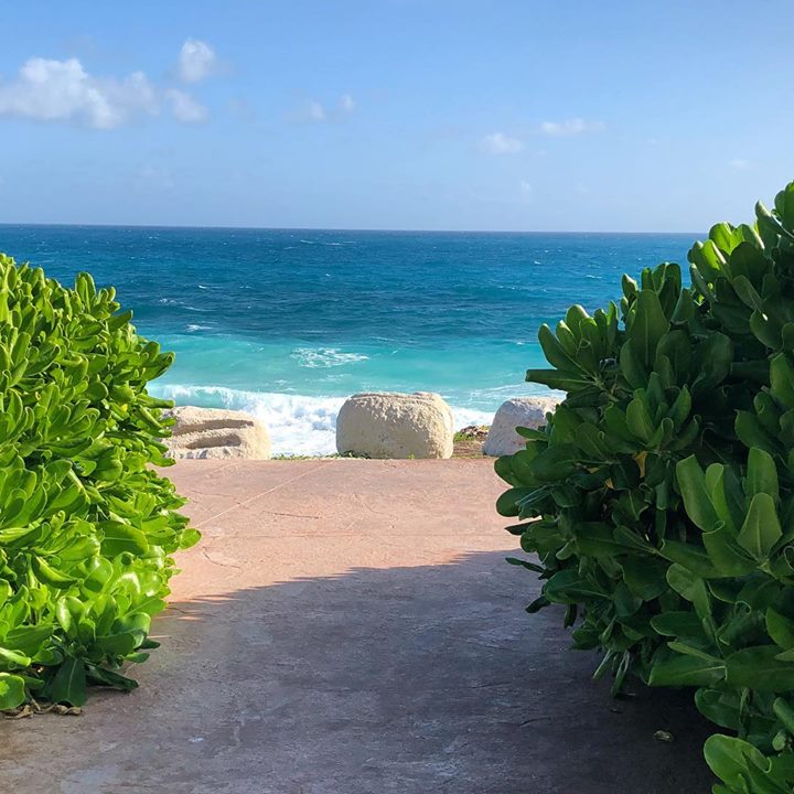 TripsInRentals's tweet image. We have several rental properties available on this beautiful little “Island of Women,” and after having enjoyed this place during the @itmf2019 ... we highly suggest making a trip down to #IslaMujeres yourself! #BookDirect with TripsInMexico.com! #ITMF2018 #Mexico #TripsIn