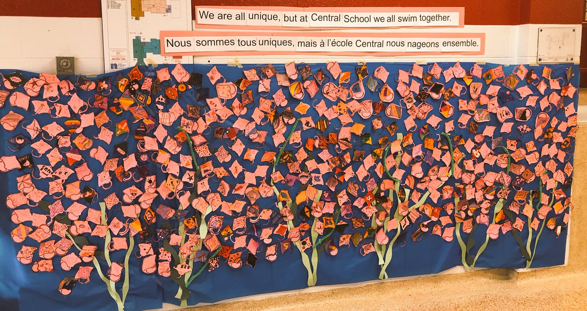 classe8a's tweet photo. Nous sommes tous uniques, mais @FIecoleCentral nous nageons ensemble! Celebrating Pink day today and everyday! #stingrays #PinkShirtDay #standuptobullying https://t.co/MEhylLoS1d