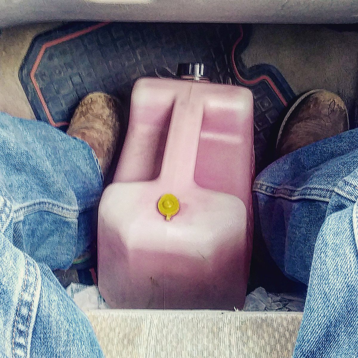 Well Off tweet media