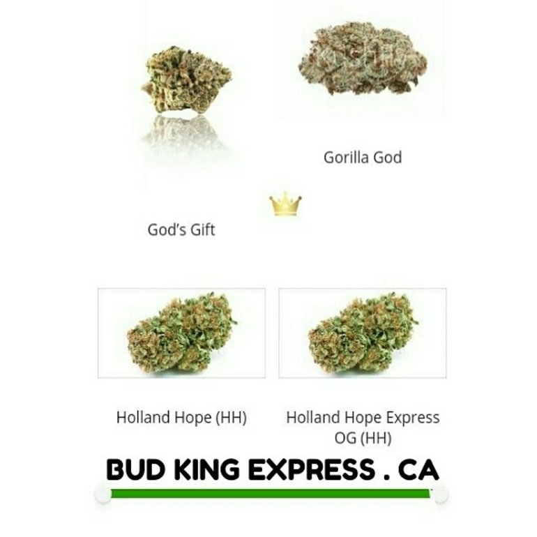 budkingexpress's tweet photo. @budkingexpress
BUD KING EXPRESS Add new high Quality #Cannabis  Products ,check it out to keep updated with latest of Cannabis,Weed,Marijuana Best Quality https://t.co/Hd2SIt9nTy Your best choice to : #Buy_weed_online  Mail order cannabis online in #canada #Marijuana online https://t.co/WHQIm36my6