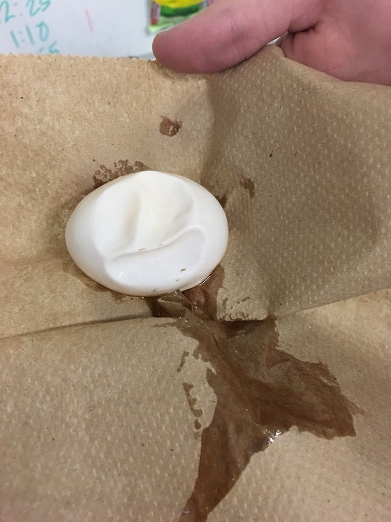 JEvans4Science's tweet photo. More egg lab success photos @CapeFearHigh1 https://t.co/mYFy263jEI