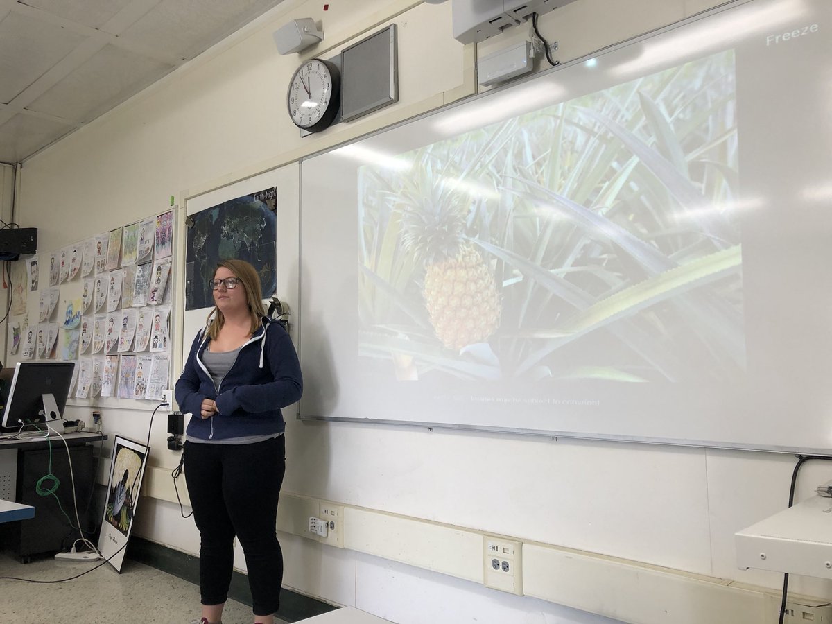royalhsbotany's tweet photo. Plant of the week: Pineapples🍍Pineapples grow on bushes. Each pineapple plant bears exactly one pineapple. Did you know that the acidity of a pineapple often makes people think they’re allergic to them? Thanks for this plant of the week 👍🏻 https://t.co/Okd4aWFbtU
