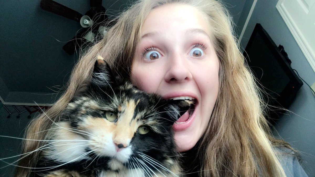 meganlatham_'s tweet image. chip is a big FACTOR in my life 🤩 #factor/factoring #day9 #marchmathmadness @CHSKingston