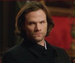 We Love Supernatural tweet media