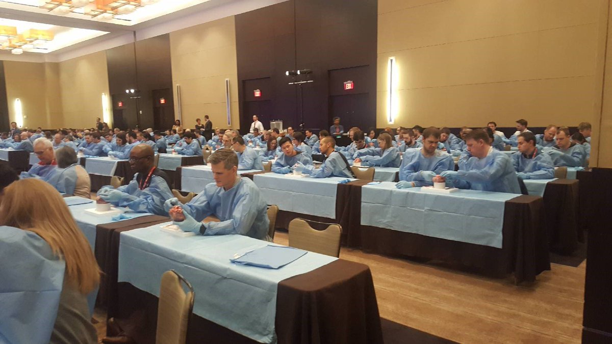 scahq's tweet photo. Thank you to all #SCA2018EchoWeek attendees and faculty for spending the week with us in Atlanta. The week was a success and we were glad to see everyone there! https://t.co/u9V2Gd5XKy