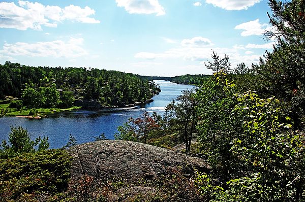 AmericanForests's tweet image. "The Key River in Ontario is a wonderful area for enjoying nature at its best, from wildlife to stunning vistas
#keyriver #naturephotography" RT @DebbieOppermann