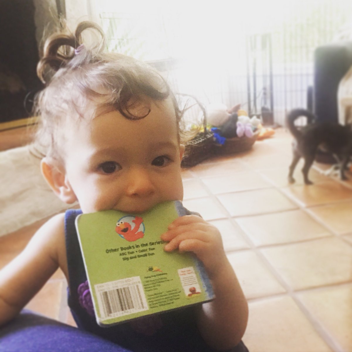 henhousecomedy's tweet photo. Hunger for knowledge. #momlife #mommy #momming #momminghard #mommingsohard #toddlerlife #toddler #toddlermom #funnymommy #funnymom #henhousecomedy @saraerfletcher @karaluiz #momtested #momjokes #momcomedy https://t.co/Wb5y7shaAE