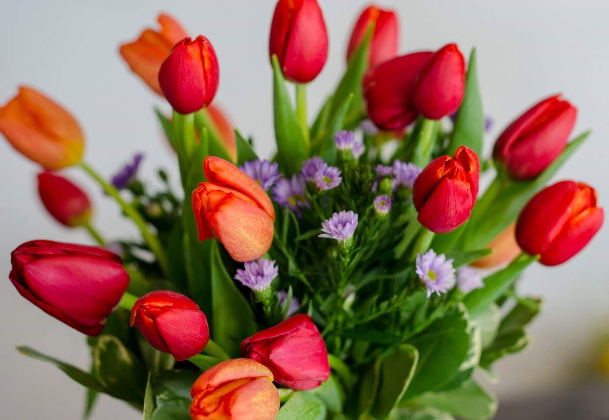 FoistersFlowers's tweet photo. Just some tulips from the shop. :) https://t.co/1idrmRZoAB