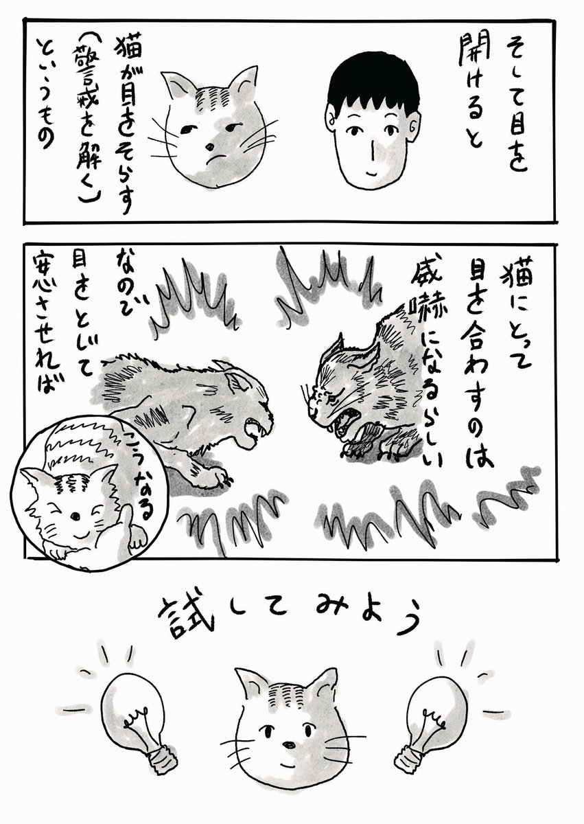 #宅配まんが 「猫/実験」 