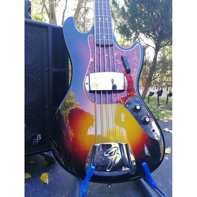 bassplayerbassists.com
#bassplayer #bassist #bass