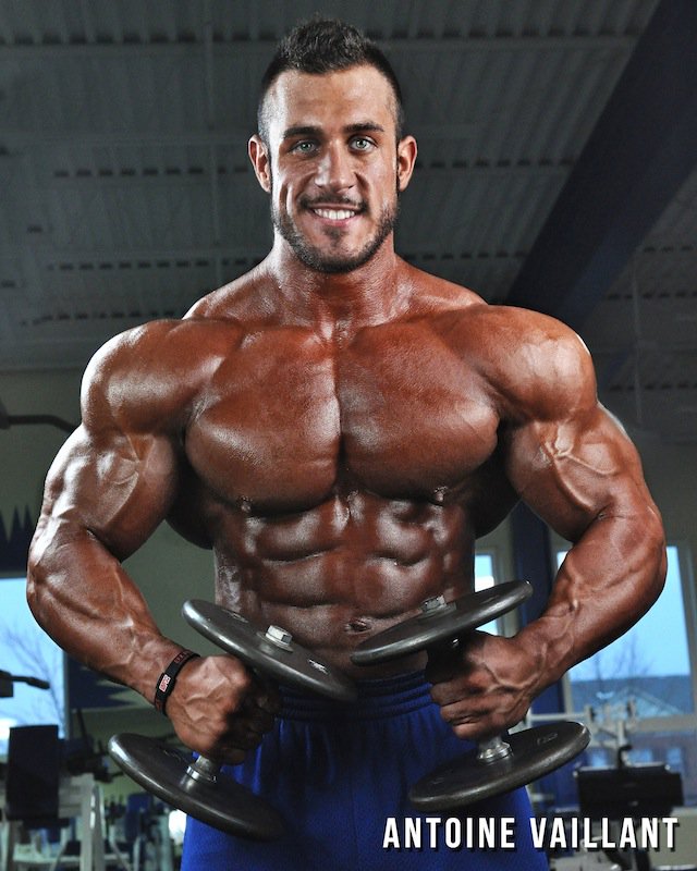 pacocutler's tweet photo. #AntoineVaillant #CanadianHunk #bodybuilder #gym #hotmen #bodybuilding https://t.co/zxoEBP6g1L