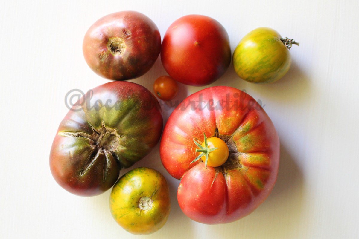 LSavourTextiles's tweet photo. Salad optional with these beauties 
.
.
.
.
#stockphotography #foodphotography #farmersmarket #etsy #shoplocal #tomatoes #foodiepics https://t.co/JhdtNzByDi