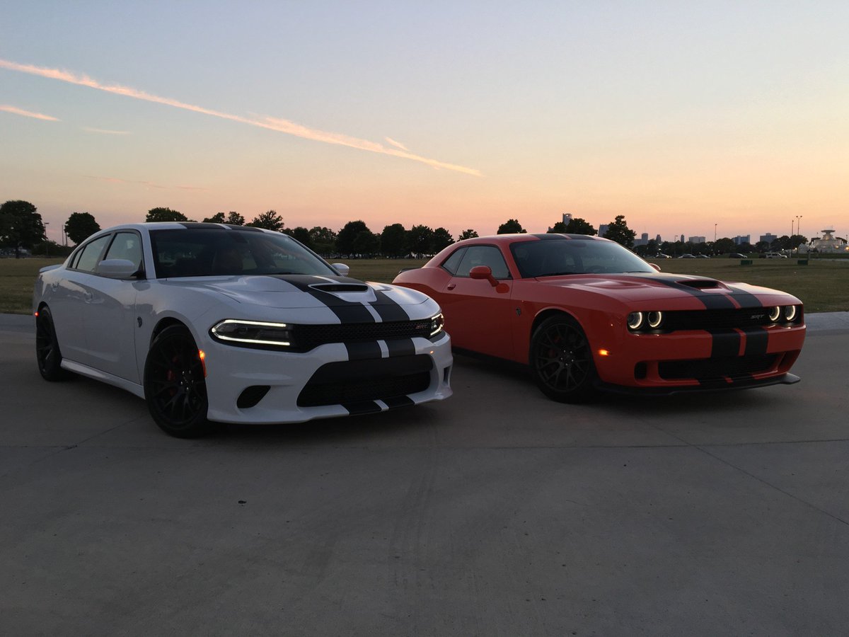 Dodge's tweet photo. Bold bloodlines. https://t.co/CykoKhX2KH