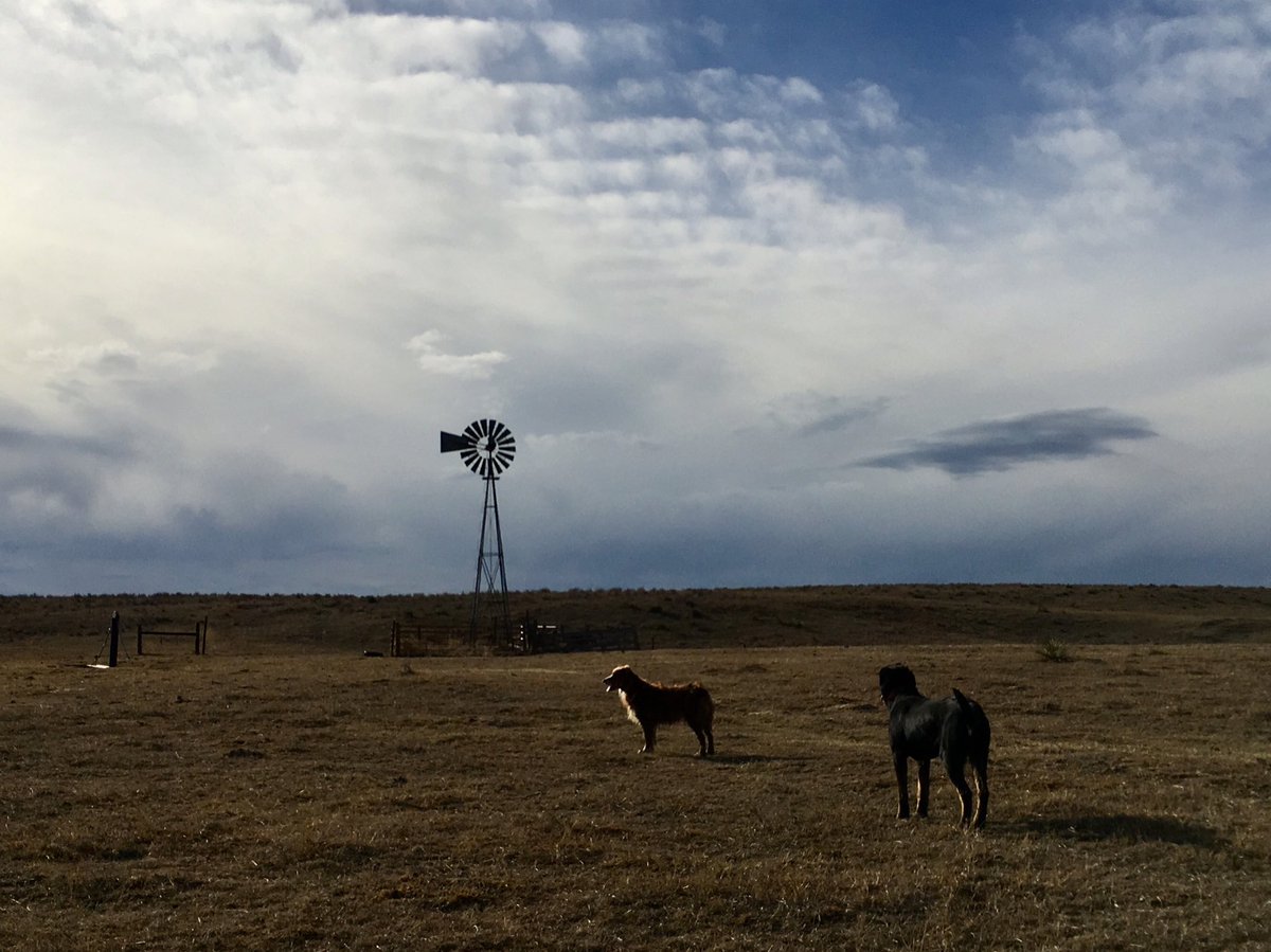 jbevrun's tweet image. #highplains #runwithdogs #Peace