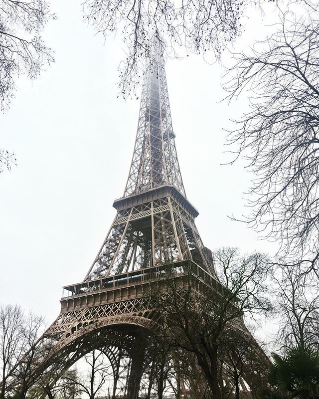 mollyelisabethb's tweet photo. #FBF Paris .
#paris #france #eiffeltour #instapiration #instago #explorationgram #ourplanetdaily #welltravelled #yesgram #travel #instatravel #travelphotography #travelgram #worldtravel #worldplaces #meettheworld #lovetheworld #travelawesome #wanderlust… https://t.co/5v0JdHks8u https://t.co/ZLkFCuKsZj