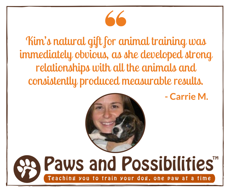 KimPawsnPoss's tweet photo. We love our #PawsAndPossibilities clients! https://t.co/JNcJUuMpyK https://t.co/XLkEV052KG