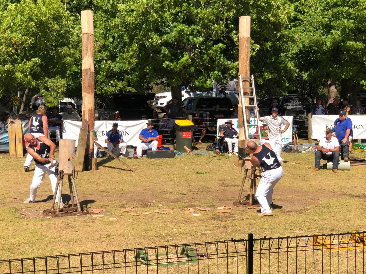 andy_penn's tweet photo. Oh no - favourite just dropped out of @redhillshow wood chop - #knotshappen ! https://t.co/MjrnF4CP6S
