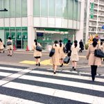 就活の闇？ベージュのトレンチコートを着たポニーテールの人だらけ!
