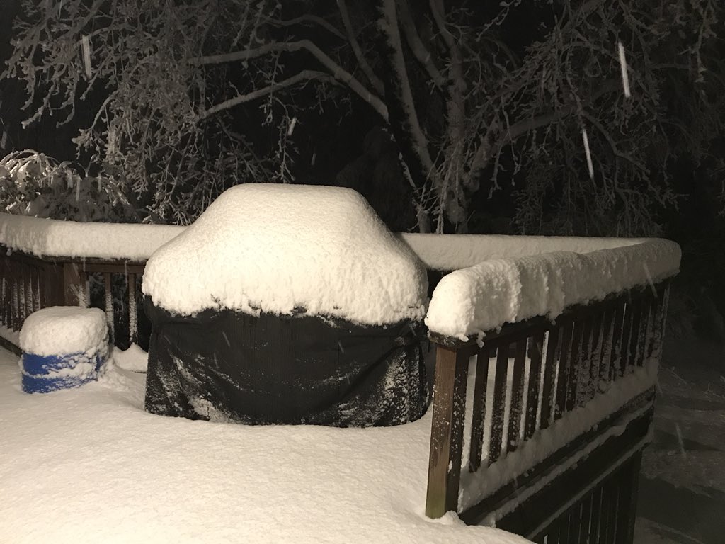 reefknot's tweet photo. @brixtondoyle @RealBenBailey #snowgrill Two days ago New England. https://t.co/SZaDDhQ7Rg