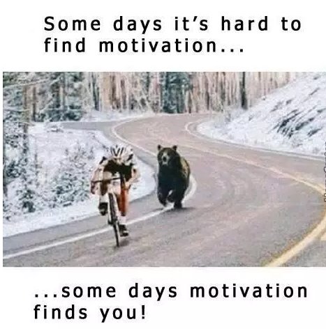 CyclingGearPro's tweet photo. this is how i work............ https://t.co/QhGt32gDCB