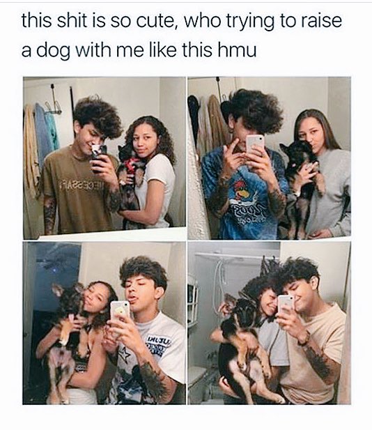 purplred21741's tweet image. 