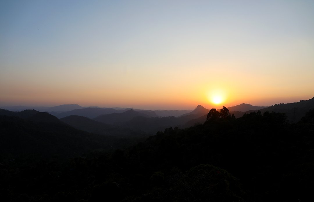 lifewithoutmeat's tweet photo. What a pleasure it was staying in @mtcrmunnar whilst we explored some of India's famous Teat Plantations and scenery! Thanks for having us! Check out the full review here: https://t.co/f3FNMSIhR4 #MTCRMunnar #MunnarTeaCountryResort #GreenEarthHotels https://t.co/NMKdLPFfeo