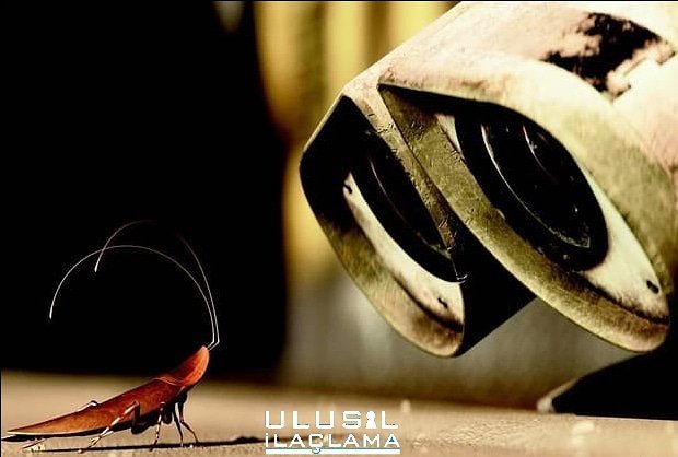 #ulusalilaçlama #kaloriferböceği #mutfakböceği #sarıböcek #haşere #bursailaçlama #bursaevilaçlama