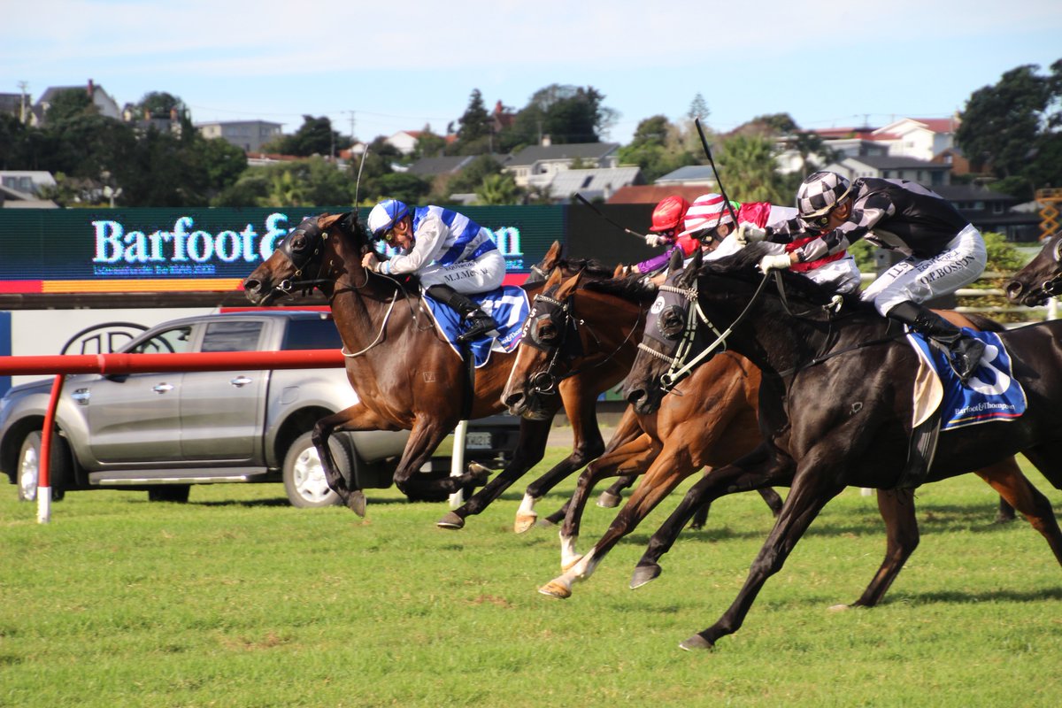 lisalattaracing's tweet photo. So proud of Authentic Paddy and Five To Midnight today. They have given there all and ran top races after great rides. A C.D quinella in the Auckland Cup which was fantastic and well done to Alan Sharrock on the win #urshoutnexttime https://t.co/gwfkCRv2hZ