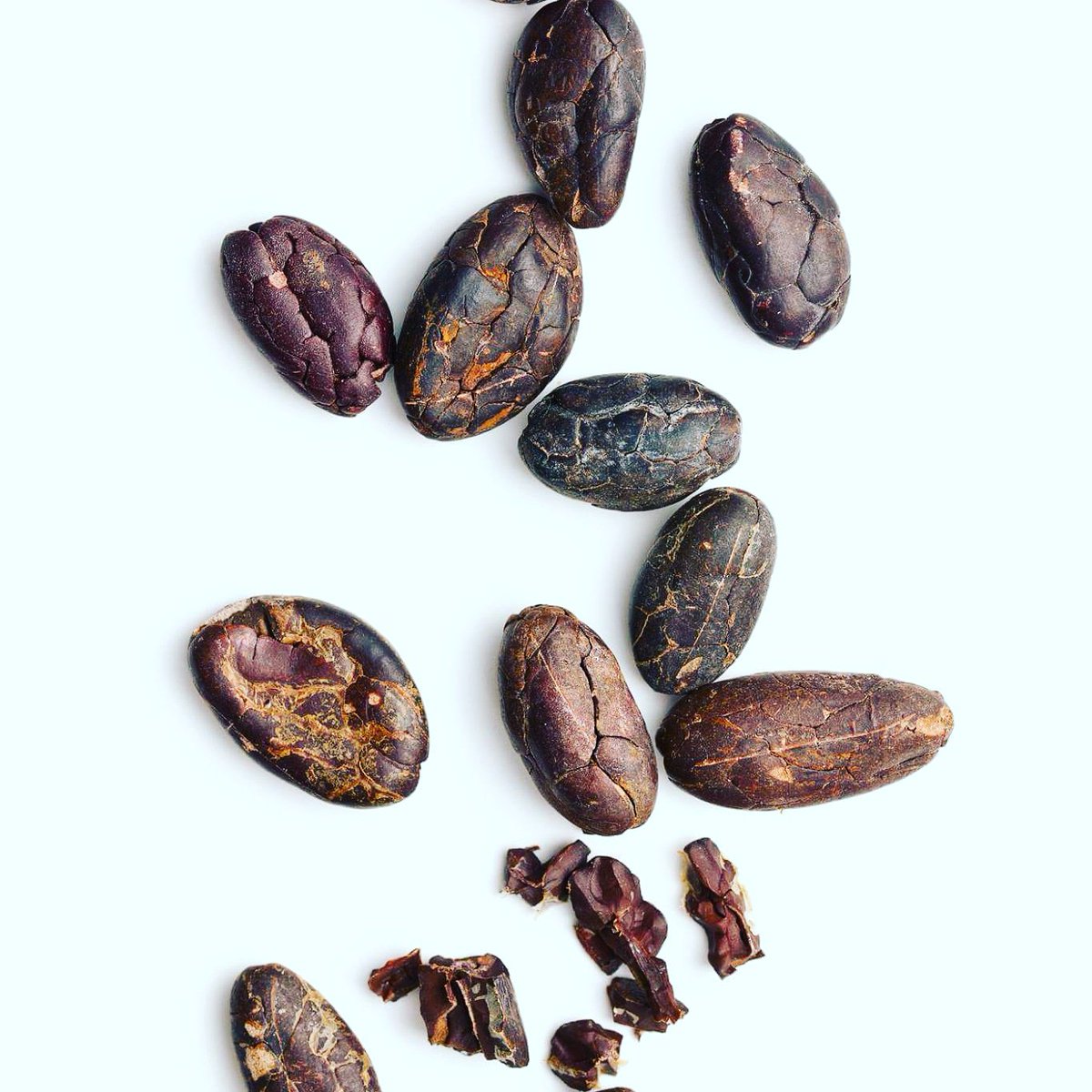 #Cocoa beans...

The source of our #CocoaButter, the mild yellow color, the gentle #chocolate aroma, and nutrients that make #KokoRenew so effective at improving the #condition of your #skin!