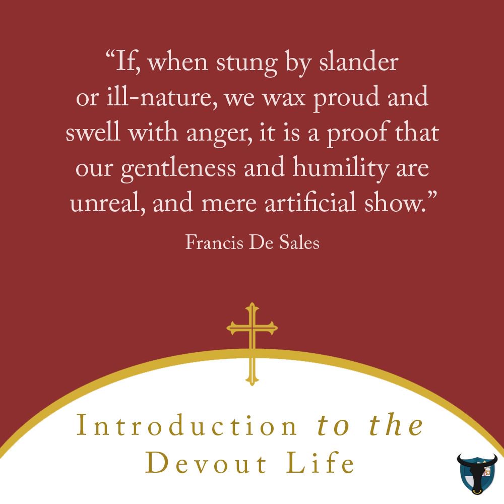 aquinasnmore's tweet photo. Introduction to the #DevoutLife by St. Francis de Sales #Catholicbook #mustread Get your copy here: https://t.co/O1IA33hotj https://t.co/IBSiVX53km