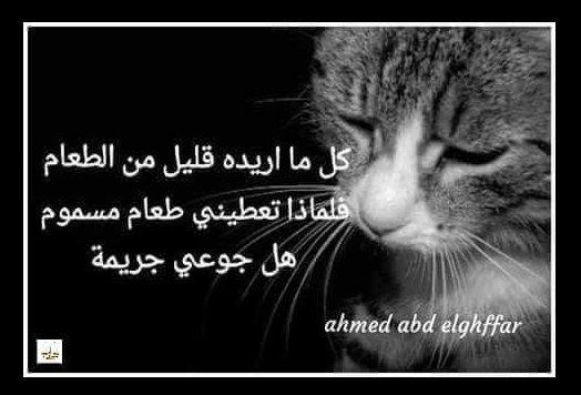 animals4u's tweet photo. #رحمة https://t.co/QTE3aXq7Jj