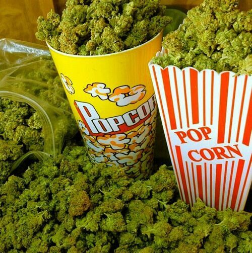 THCanimada's tweet photo. ¿Cuál es tu película favorita para cuando andas high? https://t.co/hSCc6iyrU0