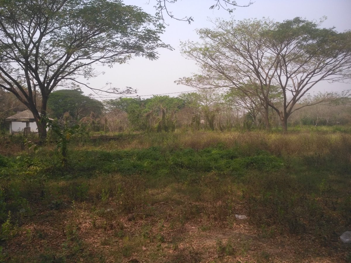 NARAYANNANDA1's tweet image. Birth place of world poet #Jaydev declared tourism place in 2015. Under CS Ajit Tripathy developed process started n more projects implemented , unfrtuntly present sitution is change n no focus n no project com n lose its green . I request @Naveen_Odisha @odisha_tourism #MP N MLA