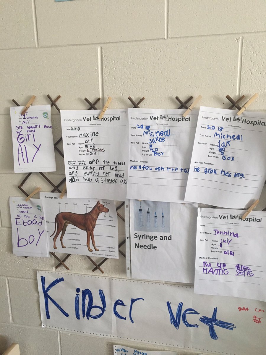 I wonder what's wrong with all these animals? #earlywriting #medicalcondition @fort_rouge @PennyMorka
