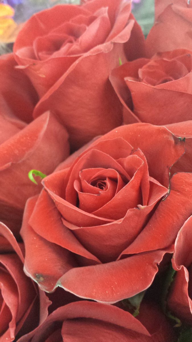 more photography #photography #art