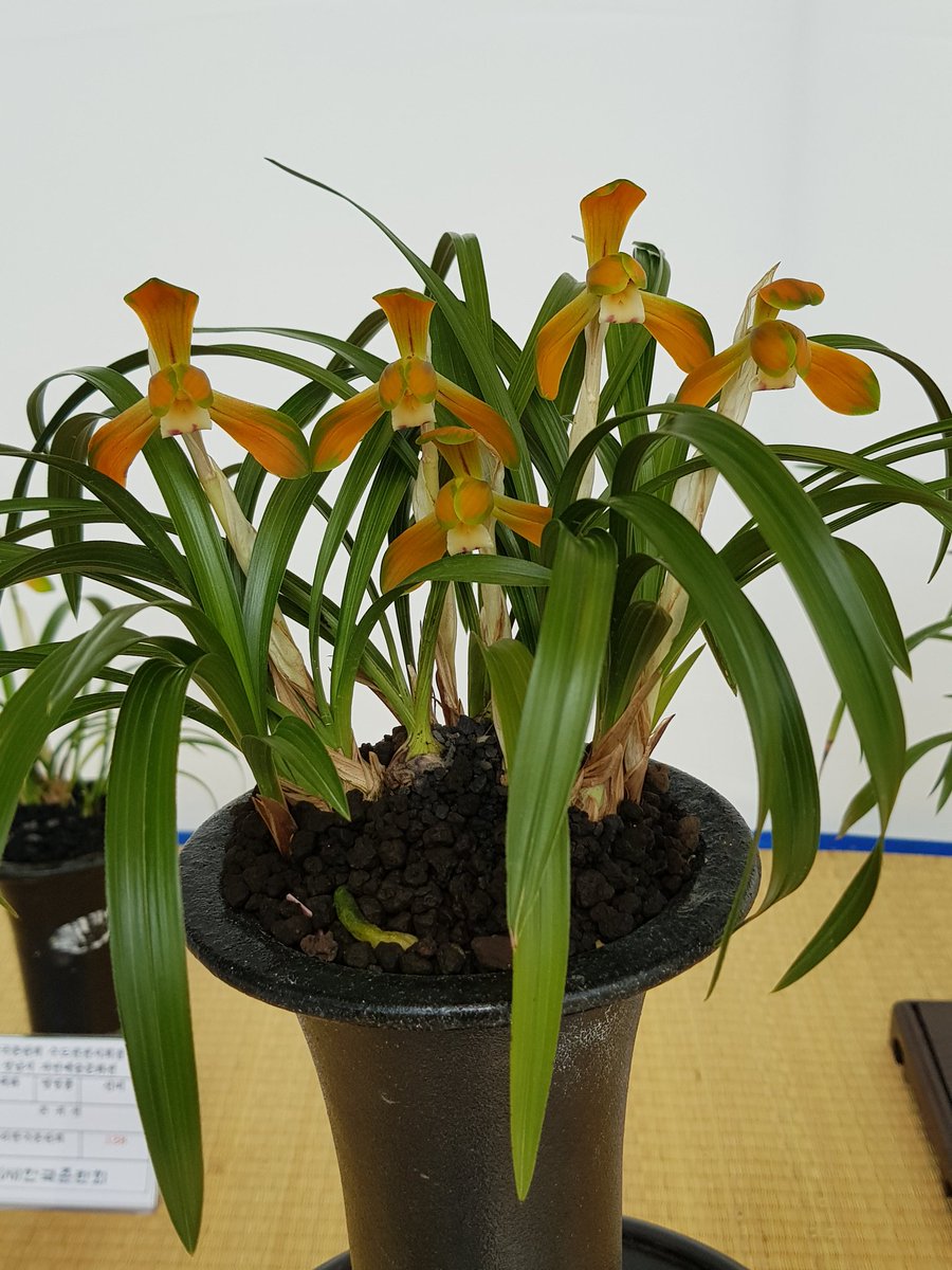 kew8306 tweet picture
