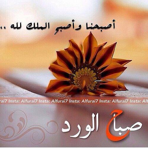 🤍حنين🤍 (@hano15914041) on Twitter photo 