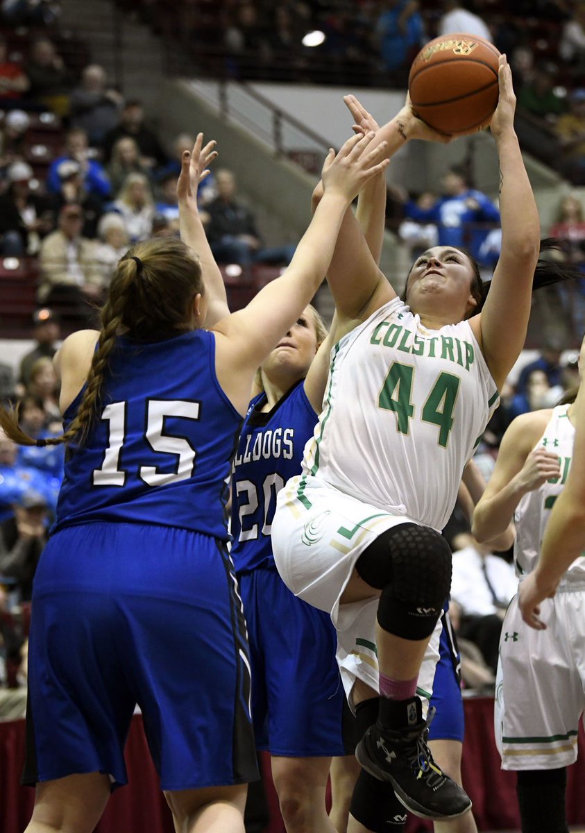 406mtsports's tweet photo. #ClassBgbb roundup: Three Forks, Colstrip to play for state championship #mtscores https://t.co/P4GF5GMcGc https://t.co/2fXEIdWpUM