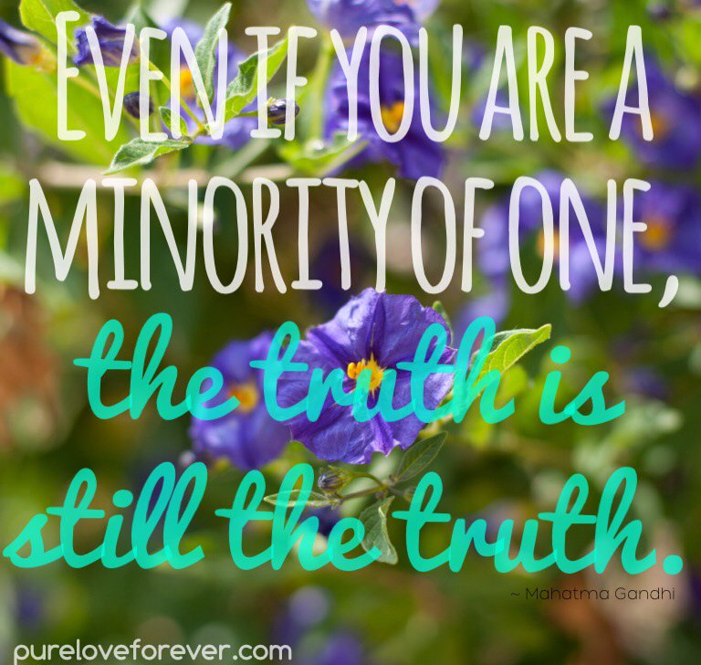 fvpblessed's tweet photo. Even if You are a minority of one, The Truth is still the #Truth. #Gandi #quotes https://t.co/ghIoN7wgME