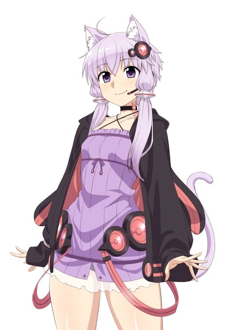 猫色塗り(うさぎ) 