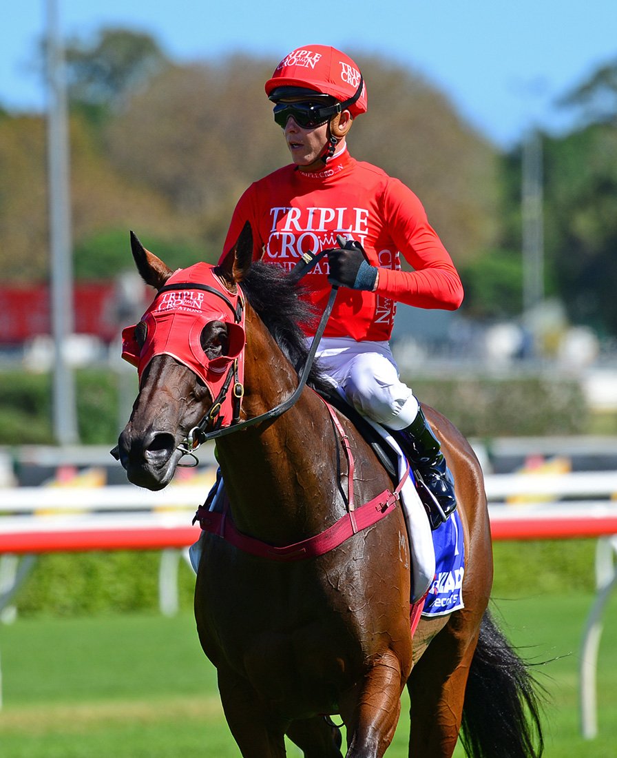 mmsnippets's tweet image. Congrats team #Redzel - now the highest stakes earning sprinter in Australian history. Wins today's Challenge Stakes and pushes his earnings to $8,221,750. Not bad for the $120,000 Gold Coast Yearling Sale buy for @TripleCrownSynd from Marquee Stud.
#LifeChanging @atc_races